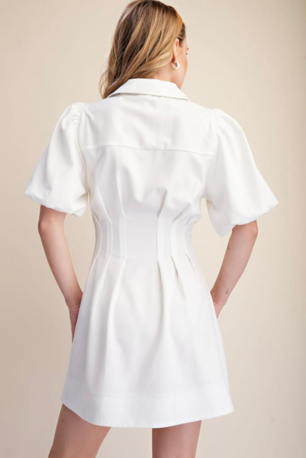 Puff Sleeve Button-Down Mini Dress